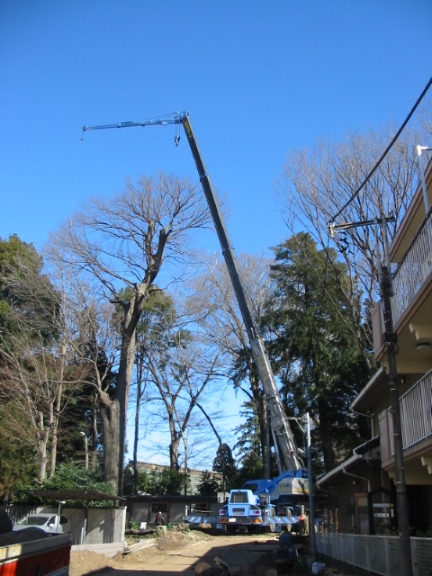 １７年２月２日１