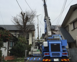 ケヤキ胴詰め作業