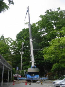 伐採剪定作業