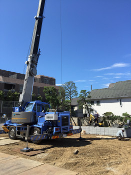 庭木の移植作業