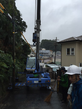 越境樹木除去作業