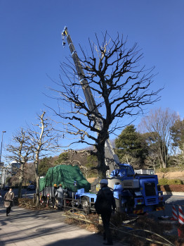 大気環境観測用コンテナ据付