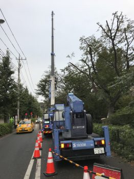 樹木伐採剪定