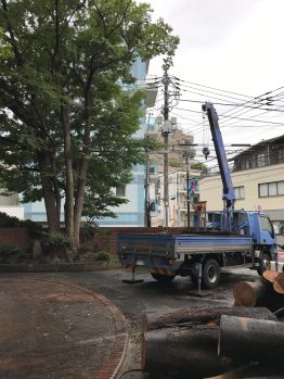 敷養生撤去