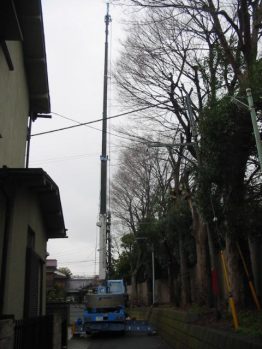 剪定作業