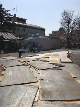 梅・枝垂桜の植込み