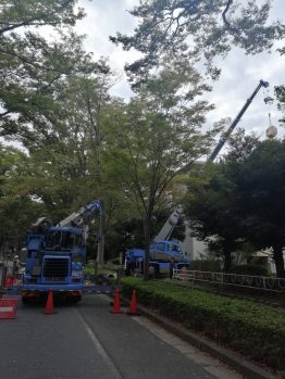 ガラ出し・養生施工撤去一式