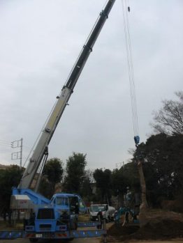 樹木移植作業
