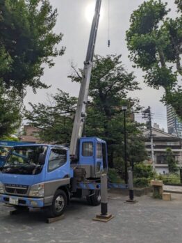 樹木伐採
