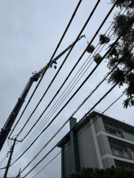 防水材搬入