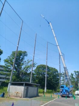 ケヤキ倒木伐採