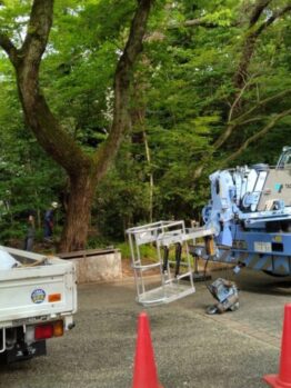 樹木剪定作業