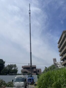 樹木伐採作業