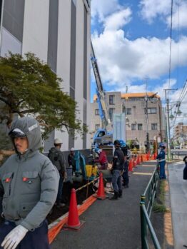 移植作業