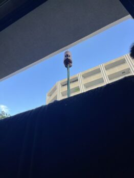 アップライトピアノ搬入