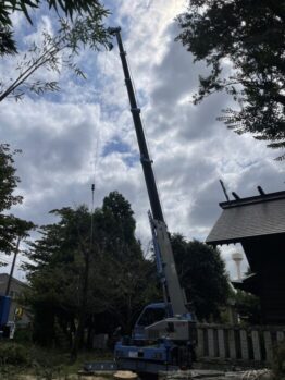 樹木伐採及び鉄板養生施工作業