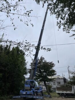 樹木伐採及び鉄板撤去作業