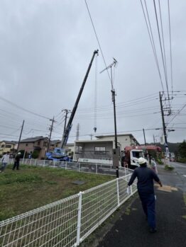 ハウス設置作業