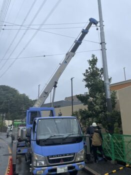 植栽移植作業
