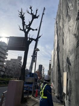 鉄筋材搬入