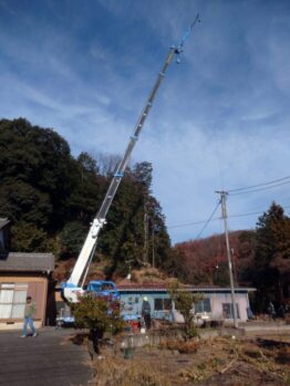 樹木伐採剪定