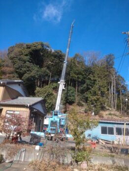樹木伐採剪定