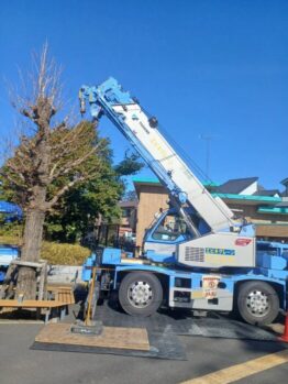 樹木伐採及び養生施工撤去作業