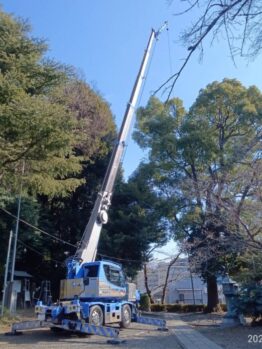 樹木剪定作業