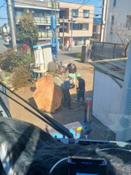 樹木伐採