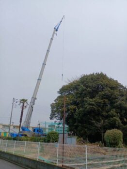 樹木伐採剪定作業