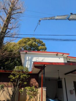 樹木剪定作業