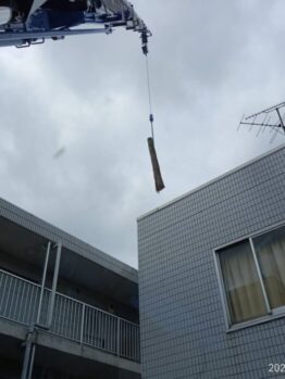 サワラ伐採及び養生施工撤去作業