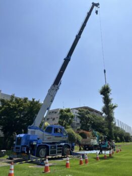 樹木伐採及び鉄板養生施工撤去作業
