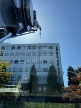 クリスマスツリー設置