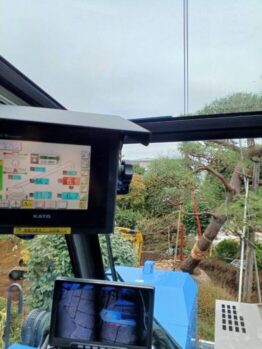松移植作業