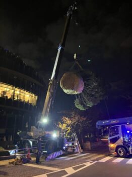 クリスマスツリー搬入設置及び鉄板移動施工作業