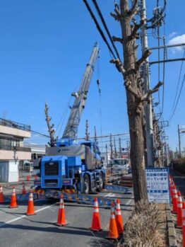 立杭山留材解体