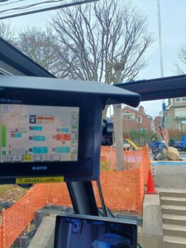 けやき移植作業