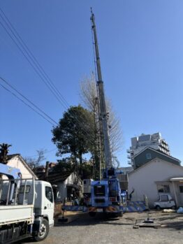 樹木伐採作業及び鉄板養生施工作業