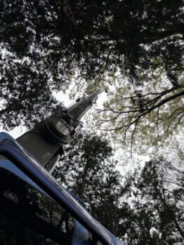 樹木剪定作業及び養生施工作業