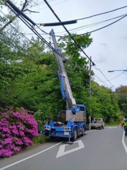 樹木伐採剪定作業