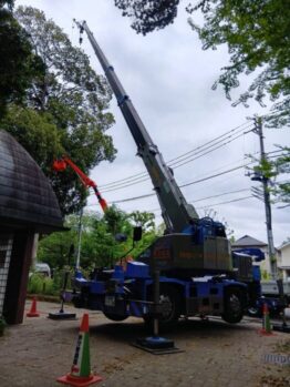 樹木伐採剪定作業