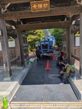 枯れ枝撤去作業