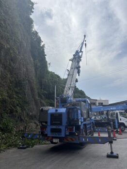 樹木伐採剪定作業