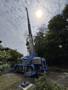 樹木伐採作業