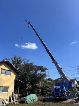 樹木剪定作業
