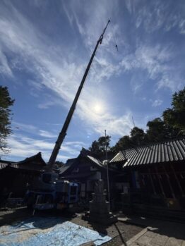樹木伐採作業